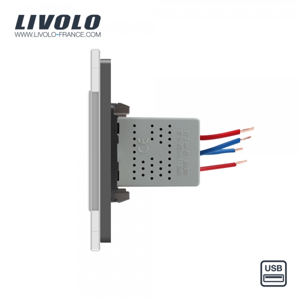Double prise USB avec transformateur gris - Livolo France